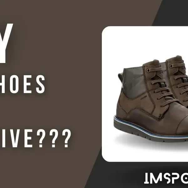 Why Are Geox Shoes So Expensive Top Reasons you want to know