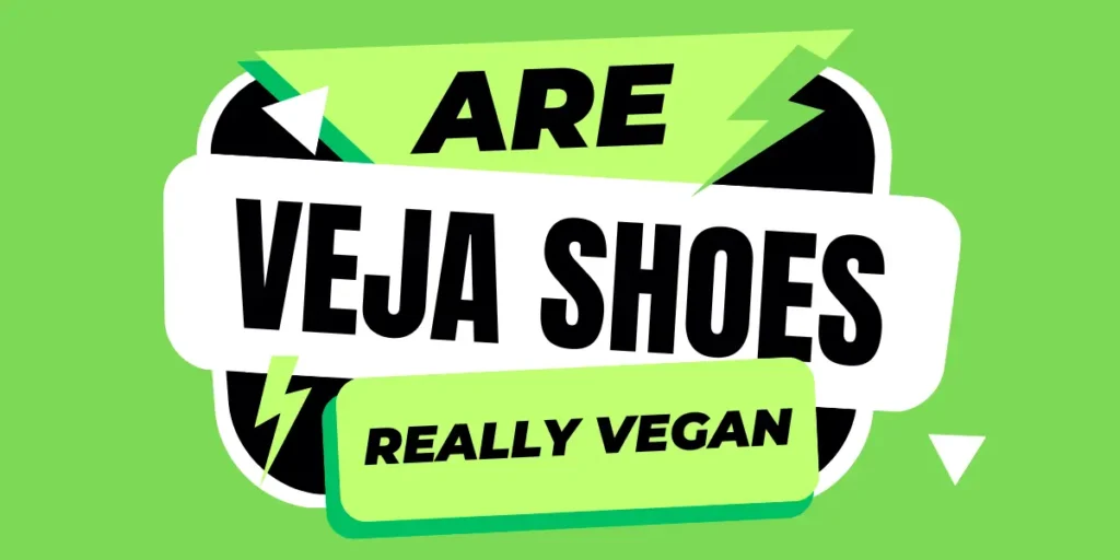 are veja shoes really vegan